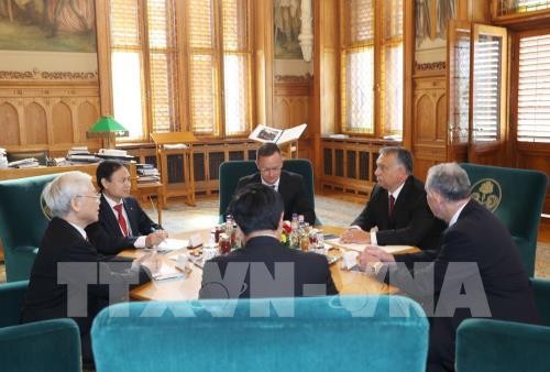 Vietnam y Hungría elevan sus relaciones a nivel de asociación integral - ảnh 1