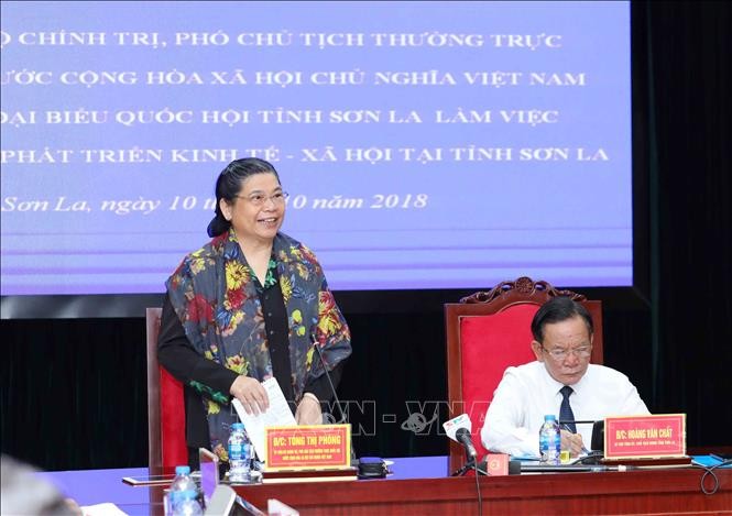 Vicepresidenta parlamentaria vietnamita trabaja con dirigentes de Son La  - ảnh 1