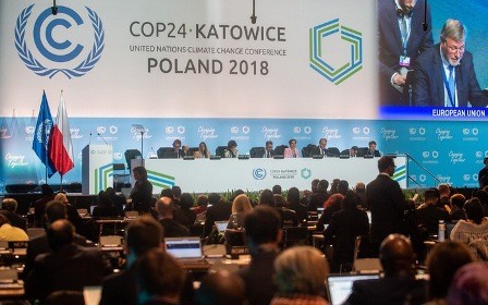 COP24 emite declaración final después de días de intensas negociaciones - ảnh 1