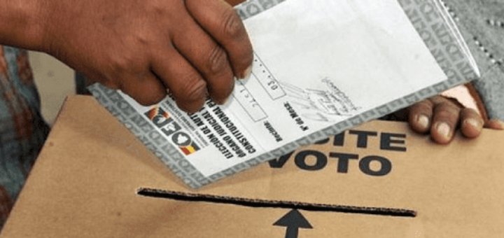 Arrancan elecciones primarias en Bolivia para elegir a nuevo mandatario - ảnh 1