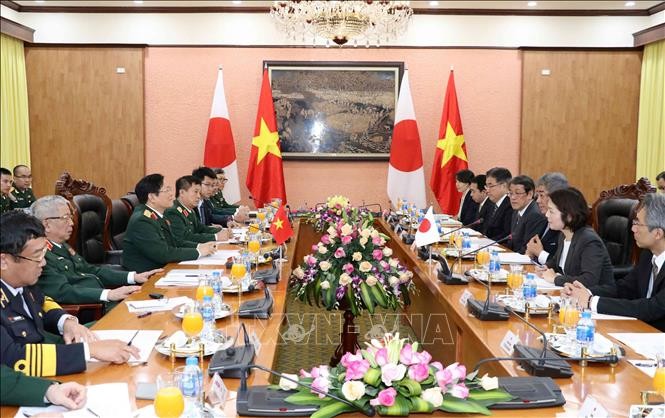 Vietnam y Japón refuerzan cooperación en defensa - ảnh 1