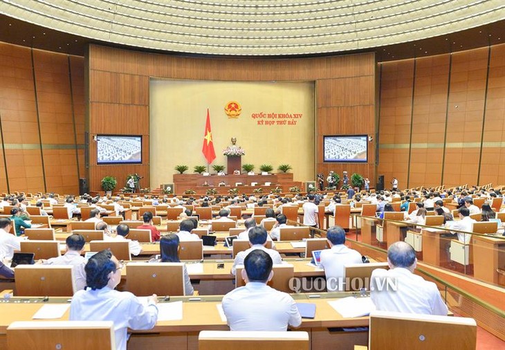 Diputados vietnamitas trazan programa supervisor del parlamento en 2020 - ảnh 1