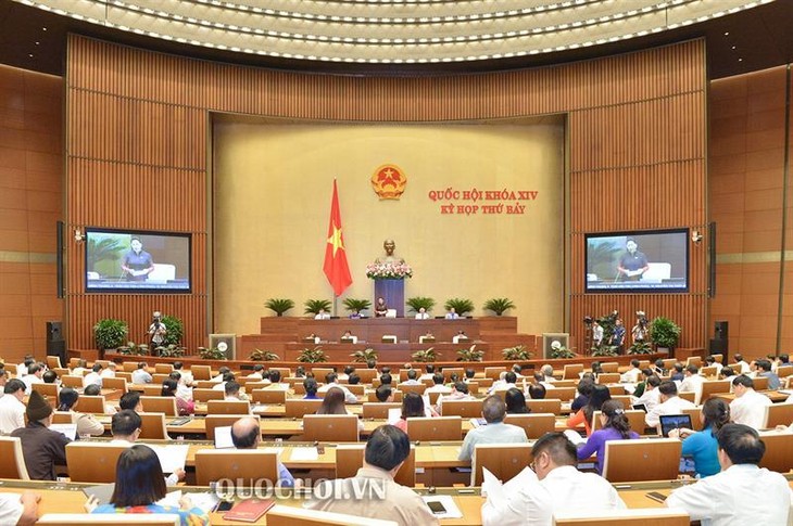 Parlamento vietnamita aprueba resolución sobre programa supervisor de 2020 - ảnh 1