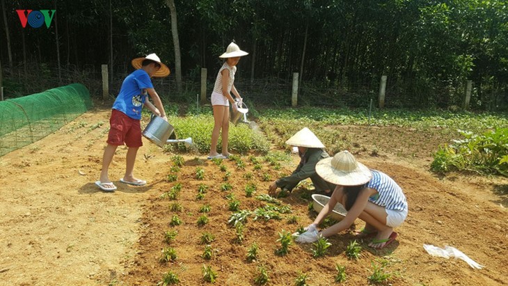 Turismo comunitario: nueva modalidad en provincia de Quang Binh - ảnh 2