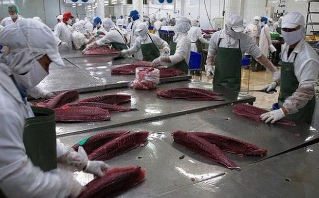 Aumentan exportaciones de atún vietnamita a Italia - ảnh 1