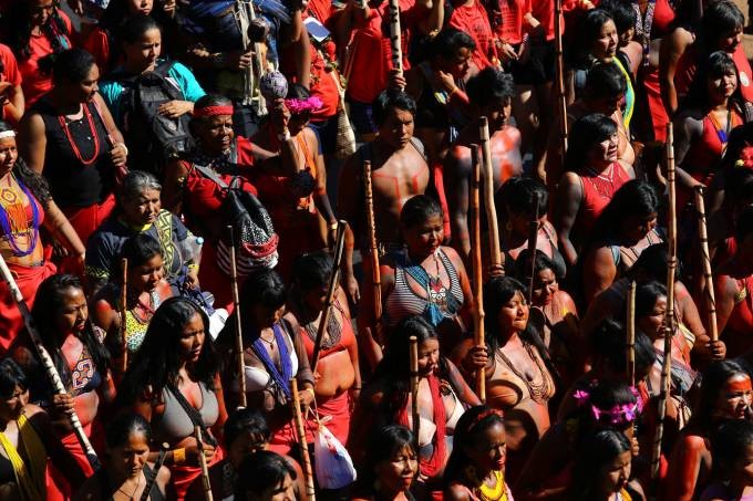 Indígenas brasileñas rechazan políticas del gobierno - ảnh 1