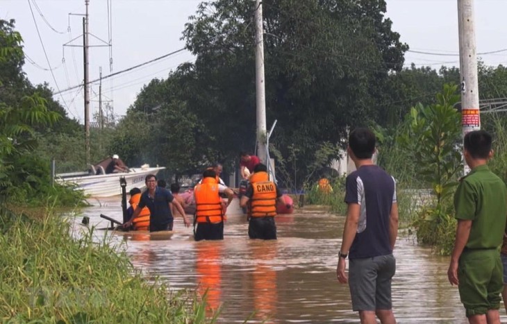 Vietnam y Japón comparten experiencias sobre mitigación de desastres naturales - ảnh 1