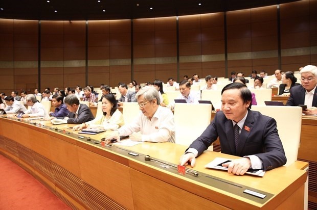 Parlamento de Vietnam aprueba reajustes de Leyes Orgánicas del Gobierno y de los Poderes Locales - ảnh 1