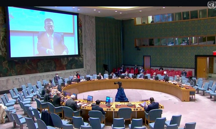 Vietnam e Indonesia opinan sobre la situación en los Grandes Lagos de África en el Consejo de Seguridad   - ảnh 1