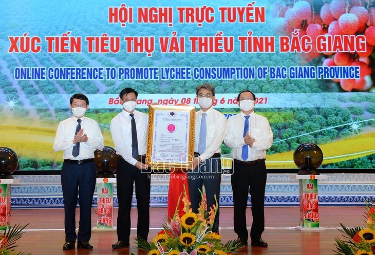 Bac Giang celebra conferencia en línea para impulsar el consumo de lichi - ảnh 1