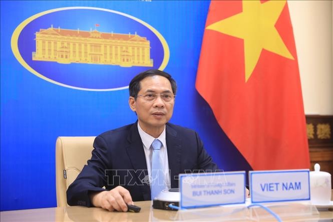 Canciller vietnamita en Reunión Ministerial virtual del MNOAL - ảnh 1