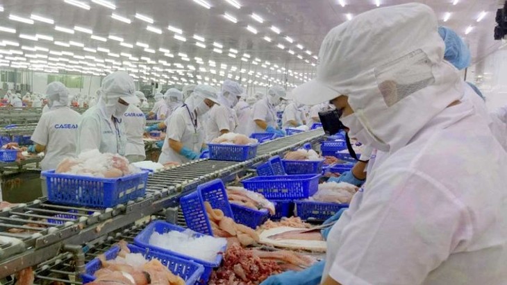 Crece la exportación de productos pesqueros vietnamitas a la UE  - ảnh 1