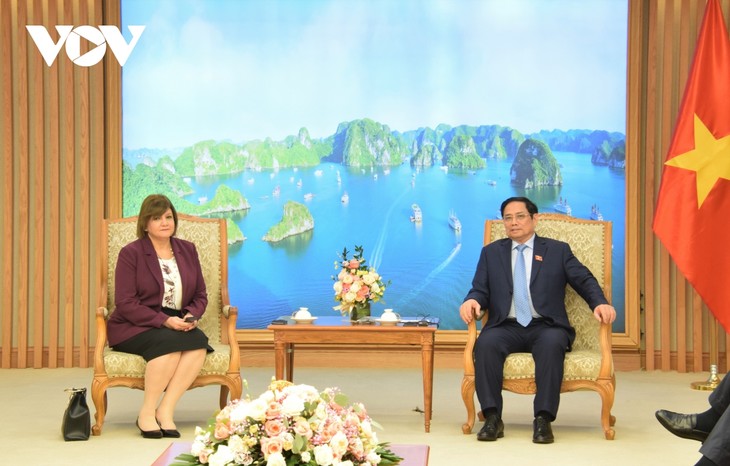 Vietnam y Egipto afianzan su cooperación multisectorial - ảnh 1