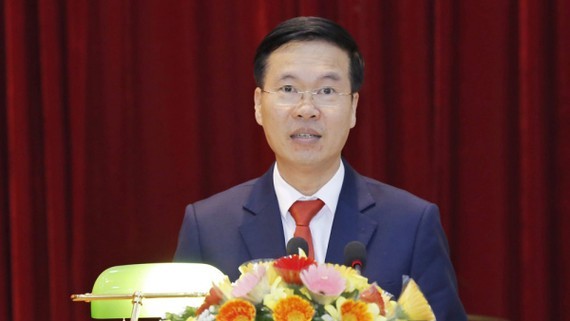 Urge promover la diplomacia económica para impulsar el desarrollo de Vietnam - ảnh 1