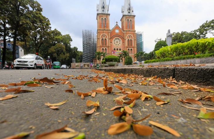Ciudad Ho Chi Minh en el Top 7 de ​los mejores destinos de otoño del mundo - ảnh 1