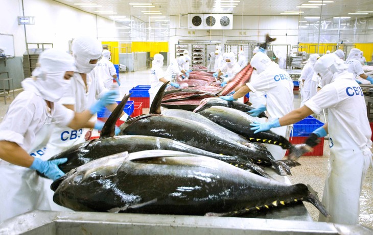 Productos de atún vietnamitas se encuentran en 97 países y territorios - ảnh 1