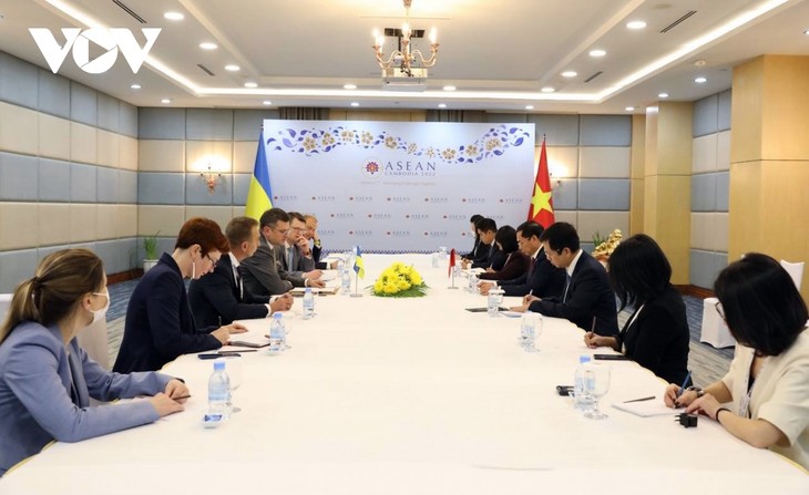 Vietnam dispuesto a contribuir para promover el diálogo y encontrar solución a la situación en Ucrania - ảnh 1