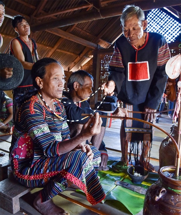 Los M’Nong Rlam honran a personas de edad en celebración de la longevidad - ảnh 1