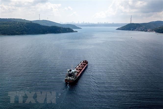 Turquía quiere prorrogar por 120 días acuerdo de exportación de cereales por el mar Negro - ảnh 1