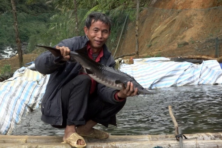 Agricultores de Lai Chau desarrollan nueva estrategia para la acuicultura - ảnh 2