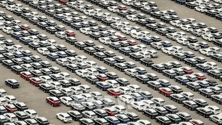 VinFast exportará más de mil 800 coches VF 8 a Estados Unidos y Canadá - ảnh 1