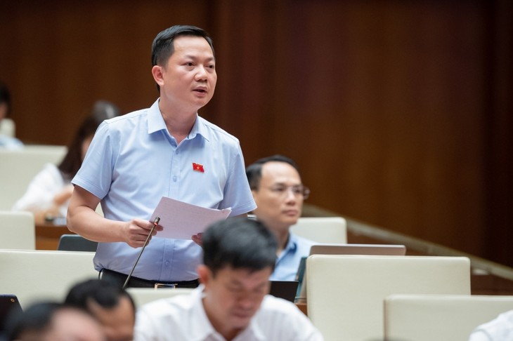 Debaten en Parlamento vietnamita solución de peticiones ciudadanas  - ảnh 1