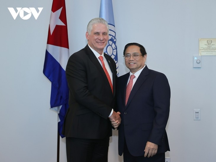 Premier vietnamita sostiene diversas reuniones bilaterales con líderes mundiales en Nueva York - ảnh 1