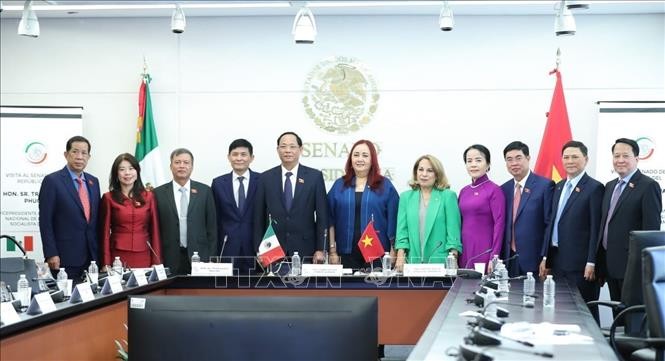 Vietnam manifiesta deseo de alcanzar una declaración conjunta sobre asociación integral con México - ảnh 1