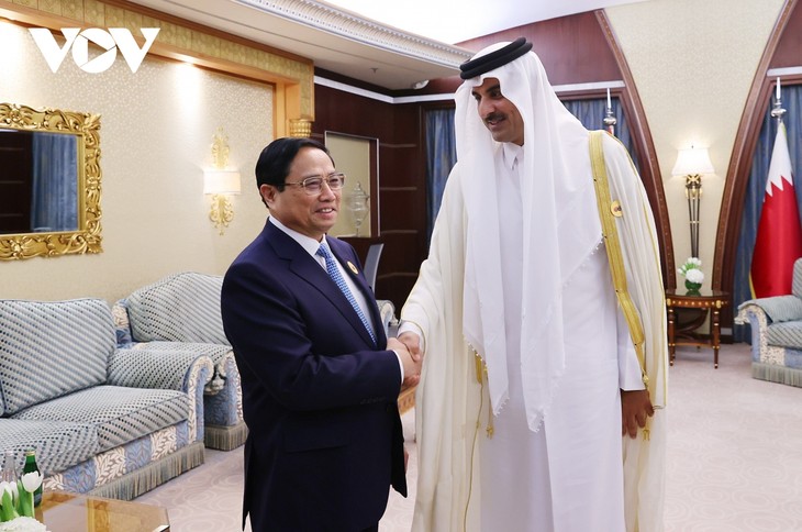 Primer ministro Pham Minh Chinh se reúne con dirigentes de países del Golfo - ảnh 1