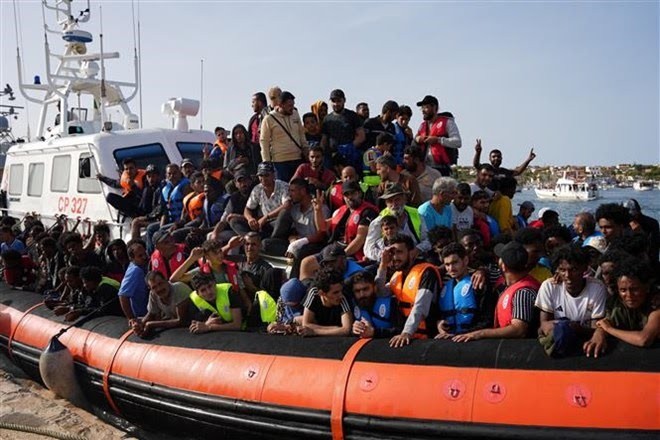 Italia salva a más de 240 inmigrantes - ảnh 1