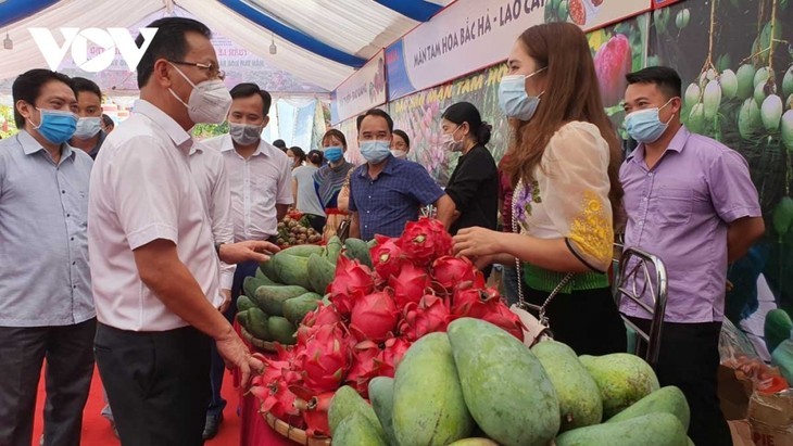 Promueven el consumo de productos agrícolas en zonas remotas y montañosas de provincias vietnamitas - ảnh 2