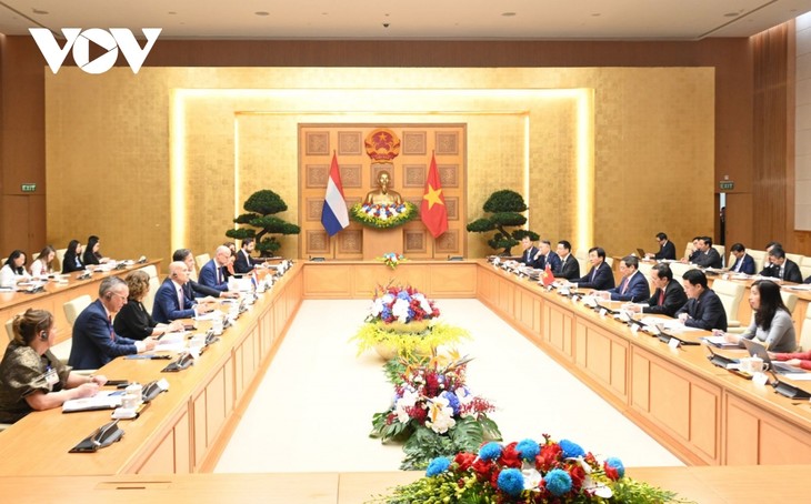 Premier vietnamita dialoga con su par neerlandés - ảnh 1