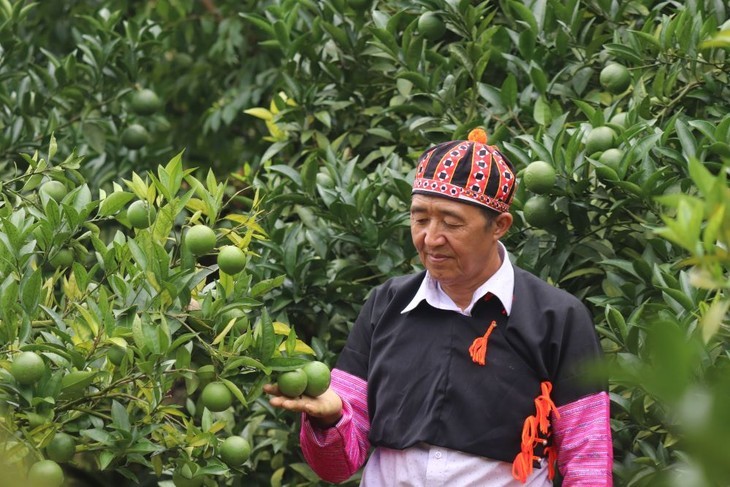 Hang A So, un campesino sobresaliente de Son La - ảnh 1