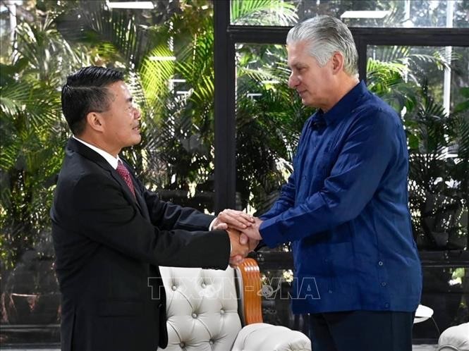Presidente cubano recibe a embajador de Vietnam - ảnh 1