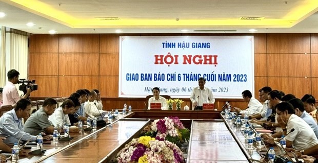 Celebrarán Festival internacional del sector de arroz Vietnam - Hau Giang - ảnh 1
