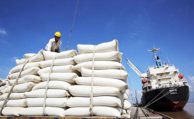 Aumenta la exportación de arroz vietnamita en 2023 - ảnh 1