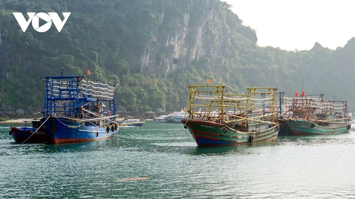 Destacan el rol de las localidades en el combate a la pesca ilegal INDNR - ảnh 1