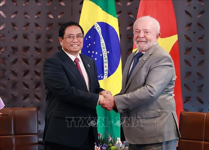 Dirigentes vietnamitas felicitan a sus pares brasileños por 35 años de lazos diplomáticos - ảnh 1
