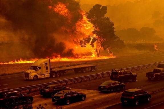 « Faire la paix avec la nature » : Une priorité absolue du 21e siècle - ảnh 2