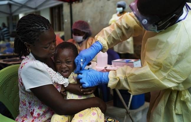 La Guinée lance la vaccination contre le virus Ebola - ảnh 1