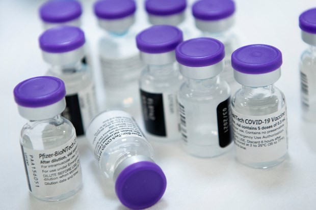 Coronavirus: l’Union européenne s’accorde sur une répartition des 10 millions de doses de vaccin BioNTech-Pfizer - ảnh 1