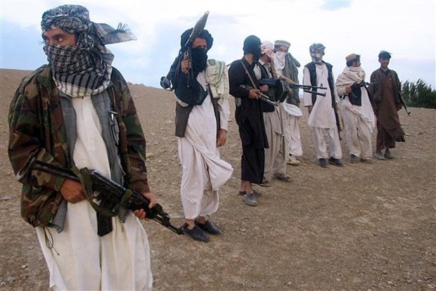 Taliban : Tous ceux qui portent des armes sont des ennemis du peuple - ảnh 1