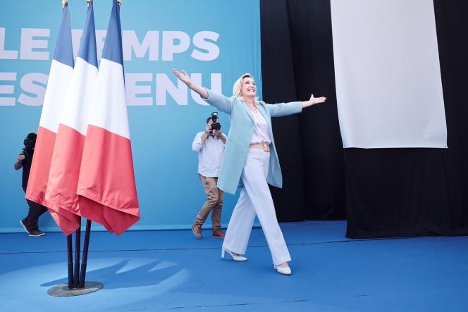 France : Marine Le Pen est candidate à l’élection présidentielle pour la 3e fois - ảnh 1