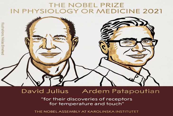 Le prix Nobel de médecine aux Américains David Julius et Ardem Patapoutian - ảnh 1