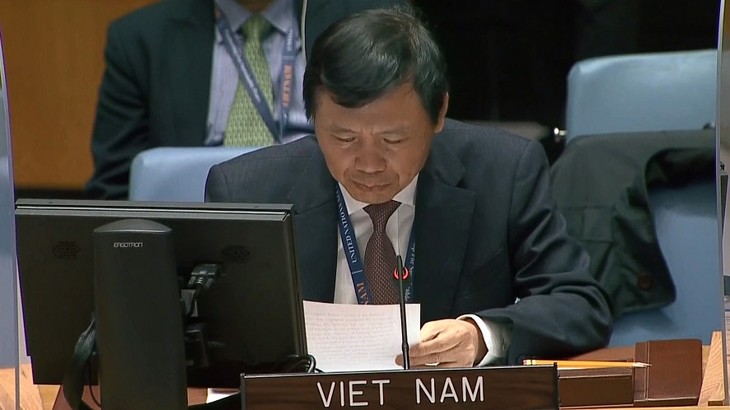 Le Vietnam assiste au débat du Conseil de sécurité sur le trafic d’armes - ảnh 1