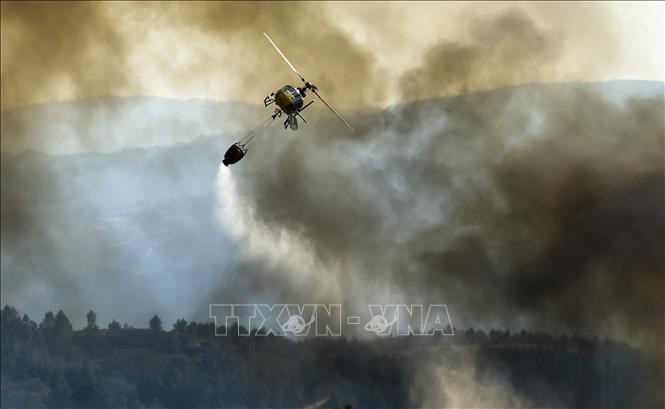 2022 enregistre une activité record d’incendies dans le sud-ouest de l’Europe - ảnh 1