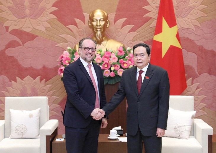 Trân Thanh Mân reçoit le ministre autrichien des Affaires étrangères - ảnh 1
