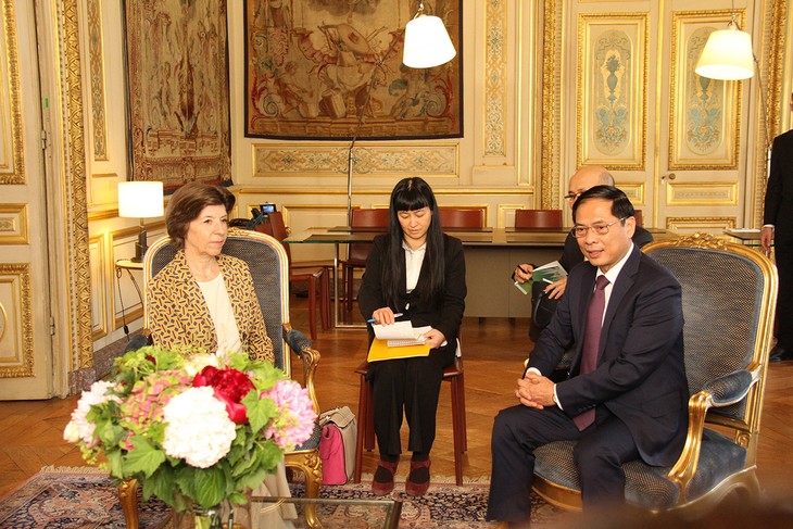 Le chef de la diplomatie vietnamienne en visite en France - ảnh 2