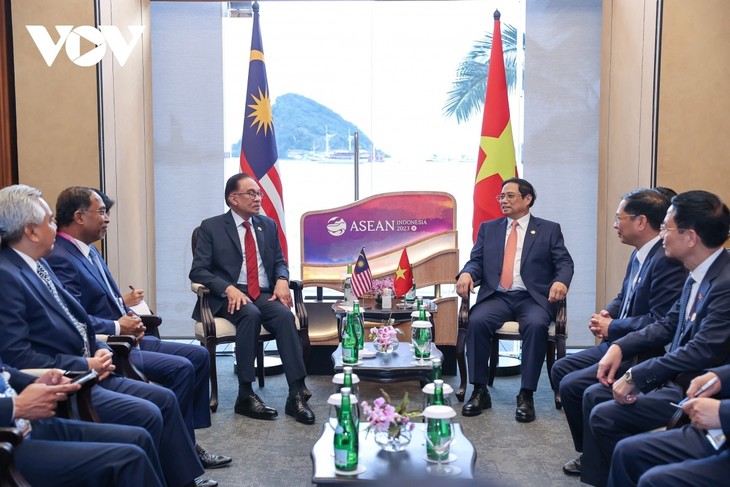 Anwar Ibrahim entame sa visite officielle au Vietnam - ảnh 1