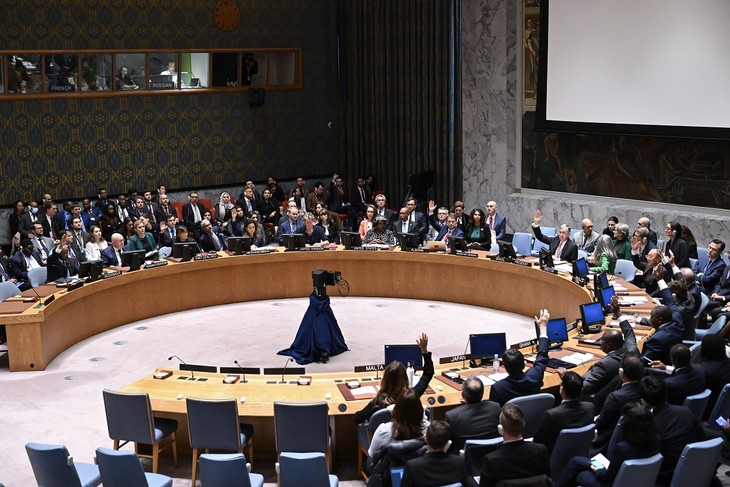Conflit à Gaza: l'Assemblée générale de l'ONU se réunira jeudi - ảnh 1
